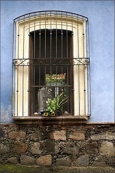 a window that has bars on it and some plants in the window sill next to it