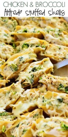 chicken and broccoli stuffed shells with cheese