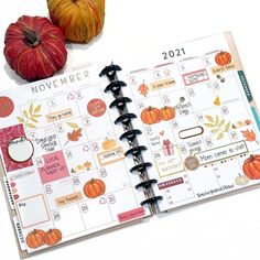 an open planner with pumpkins on it