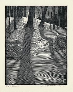 a black and white drawing of a person walking through the woods with trees in the background