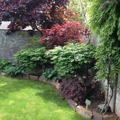 a garden with lots of trees and plants in the grass next to a stone wall