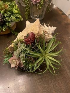 succulents and other plants are arranged on a table