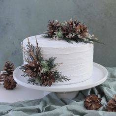 a white frosted cake with pine cones and greenery on top