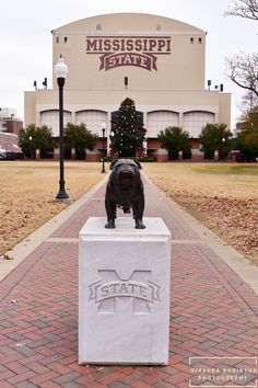 a statue of a dog on top of a box in front of a mississippi state building