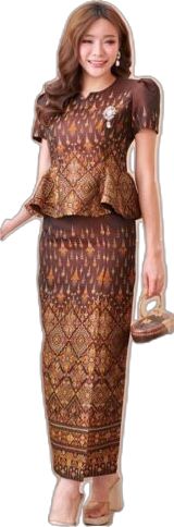 Elegant Formal Dresses With Traditional Patterns, Formal Skirt With Traditional Drape, Elegant Formal Skirt With Traditional Drape, Elegant Formal Sets With Traditional Patterns, Traditional Brown Formal Dress, Traditional Formal Dress With Long Skirt, Sleeveless Traditional Sets For Formal Occasions, Elegant Brown Party Sets, Traditional Formal Festive Skirt