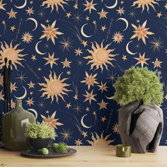 two vases with plants in front of a wallpapered background that has stars and moon designs on it