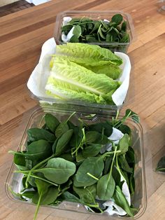 three plastic containers filled with lettuce on top of a wooden table