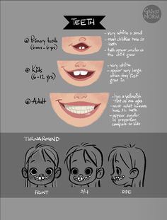 an info sheet showing how to draw teeth