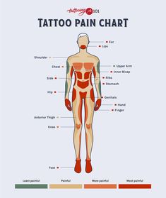 the anatomy of a man's body with labels on it