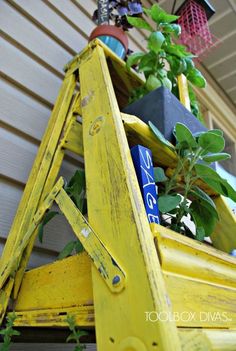 a yellow ladder with plants growing out of it