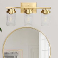 a bathroom with a round mirror and two lights on the wall next to a potted plant