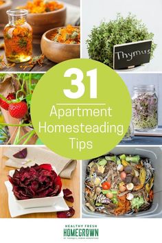 the cover of 31 apartment homesteading tips with pictures of flowers and herbs in mason jars