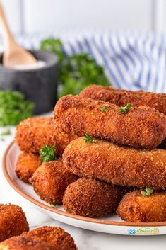 some fried food on a plate with parsley