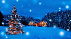 a christmas tree is lit up in the snow