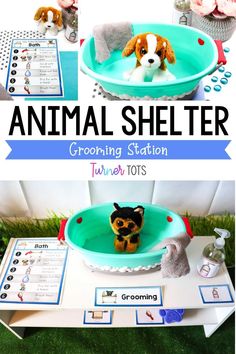 an animal shelter table with toys and instructions for the animals to use in their bathtub