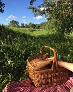 a person laying in the grass with a picnic basket on their lap, looking out over an open field