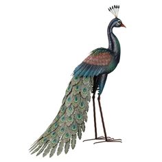 a peacock standing on its legs with feathers spread out and it's tail extended