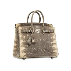 A SHINY OMBRÉ SALVATOR LIZARD BIRKIN 25 WITH PALLADIUM HARDWARE Himalayan Birkin, Worn In Birkin, Worn Birkin, Rare Hermes Birkin, Hermes Special Order Birkin, Bag Closet, Hermes Birkin Handbags, Hermes Bag, Birkin 25