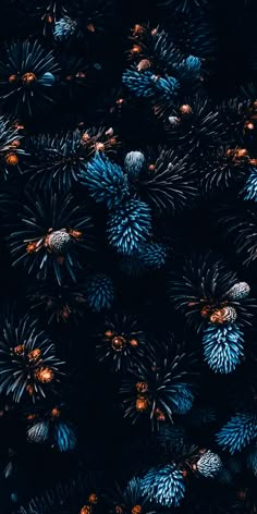 blue pine cones are arranged in the dark