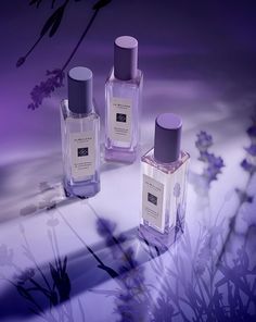 Jo Malone London Perfume, Lavender Perfume, Lavender Fragrance, 타이포그래피 포스터 디자인, English Lavender, Beauty Products Photography, Cosmetic Design, Luxury Makeup