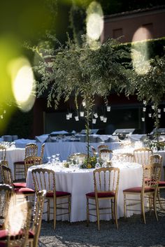 Destination Wedding, Lake Como, Open-Air Sitting, Sunny Day, Olive Trees, Rustic Elegance, Wedding Table Decor, Unique Centerpieces