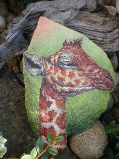 a painted giraffe head on a rock