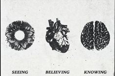 three different types of heart, brain and eye images in black and white with the caption seeing believing knows