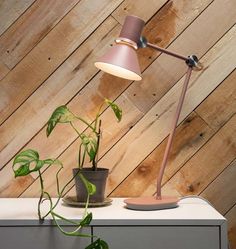 a lamp that is sitting on top of a table next to a potted plant