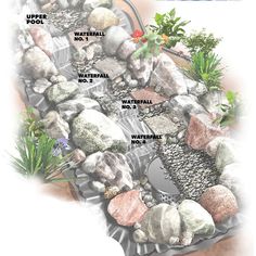 an image of a garden with rocks and plants on the ground, labeled in three different languages