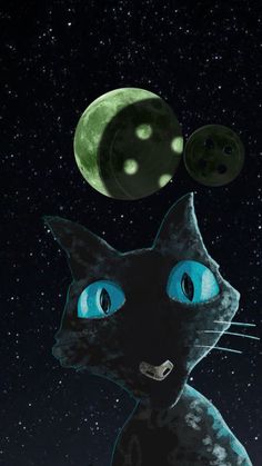 a black cat with blue eyes looking up at the stars in the night sky and moon