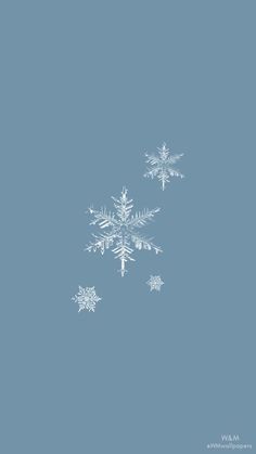 snowflakes are floating in the air on a blue background