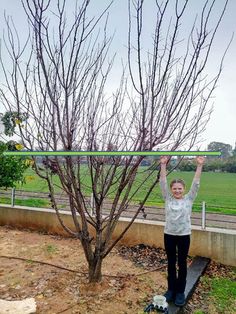 a woman standing next to a tree with no leaves on it holding up a green object above her head