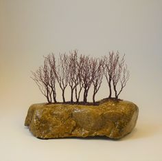 a rock with some trees on top of it