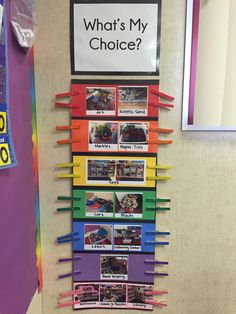 a bulletin board that says what's my choice? with pictures and magnets on it