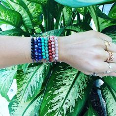 ALEX AND ANI Precious Threads | These colorful braided bracelets are the new friendship bracelets. Stack them 'til your heart's content. Bracelets Stack, New Friendship, Pinterest Closet, This Is Love, Earrings Rings, Charm Bangle, Boho Beach