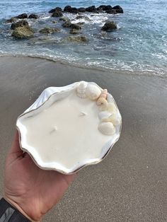 a person holding up a shell on the beach