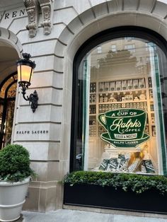 a store front window with plants in the window