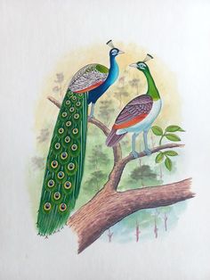 two peacocks sitting on top of a tree branch