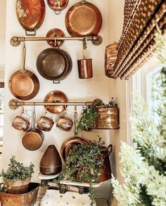 pots and pans are hanging on the wall next to pot racks with plants in them