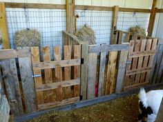 a goat standing next to a wooden fence with hay in it's bins