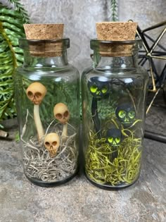 two glass jars filled with plants and skulls