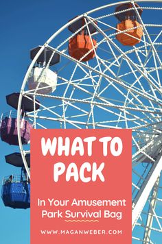 a ferris wheel with the words what to pack in your amusement park survival bag on it