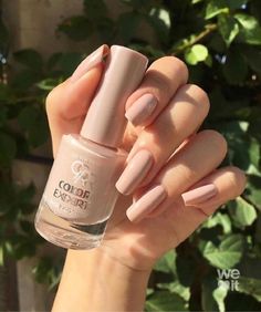 Uñas Kylie Jenner, Pointy Nails, Nail Colour, Rose Nails, Nail Colours, Golden Rose