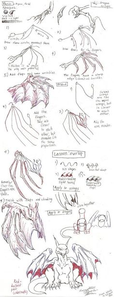 some drawings of different types of wings and their functions in the body, with instructions to draw