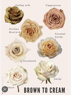 the different types of flowers are shown in this poster