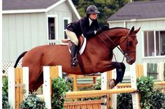 a woman riding on the back of a brown horse jumping over an obstacle in front of a house