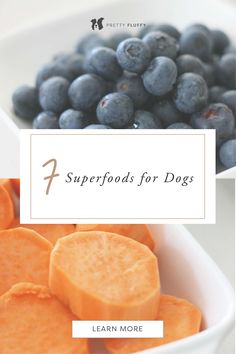 blueberries and carrots with the words superfoods for dogs written above them