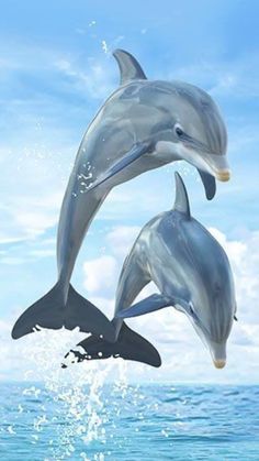 two dolphins are jumping out of the water