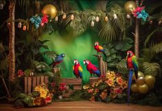 there are many parrots standing in the jungle