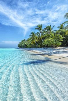 the beach is lined with palm trees and clear water